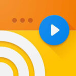 Web Video Caster Premium APK